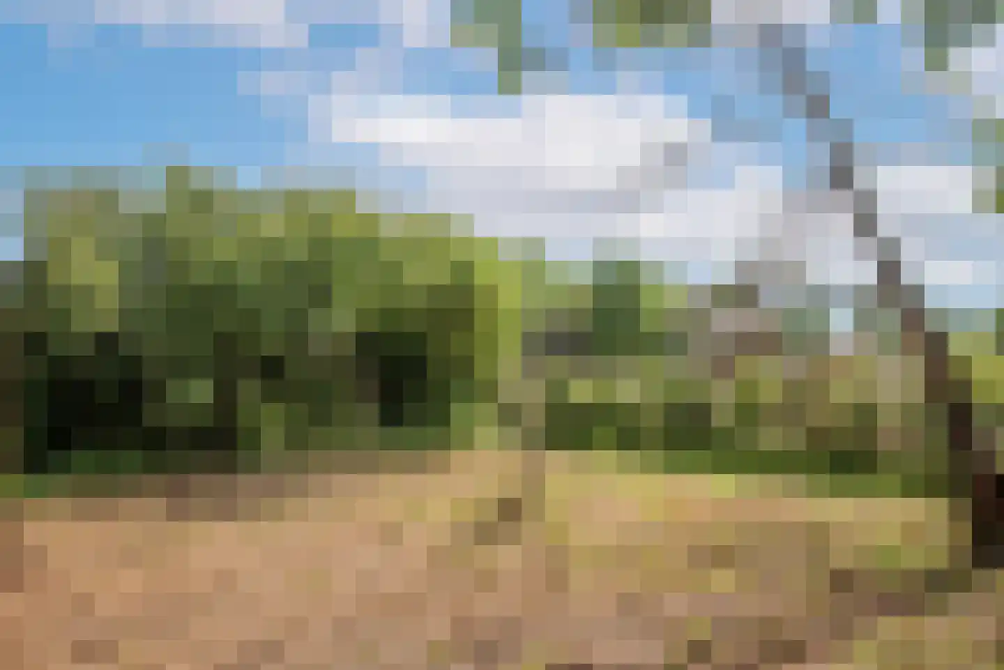 Dannenberg 13 Rijssen thumbnail 15
