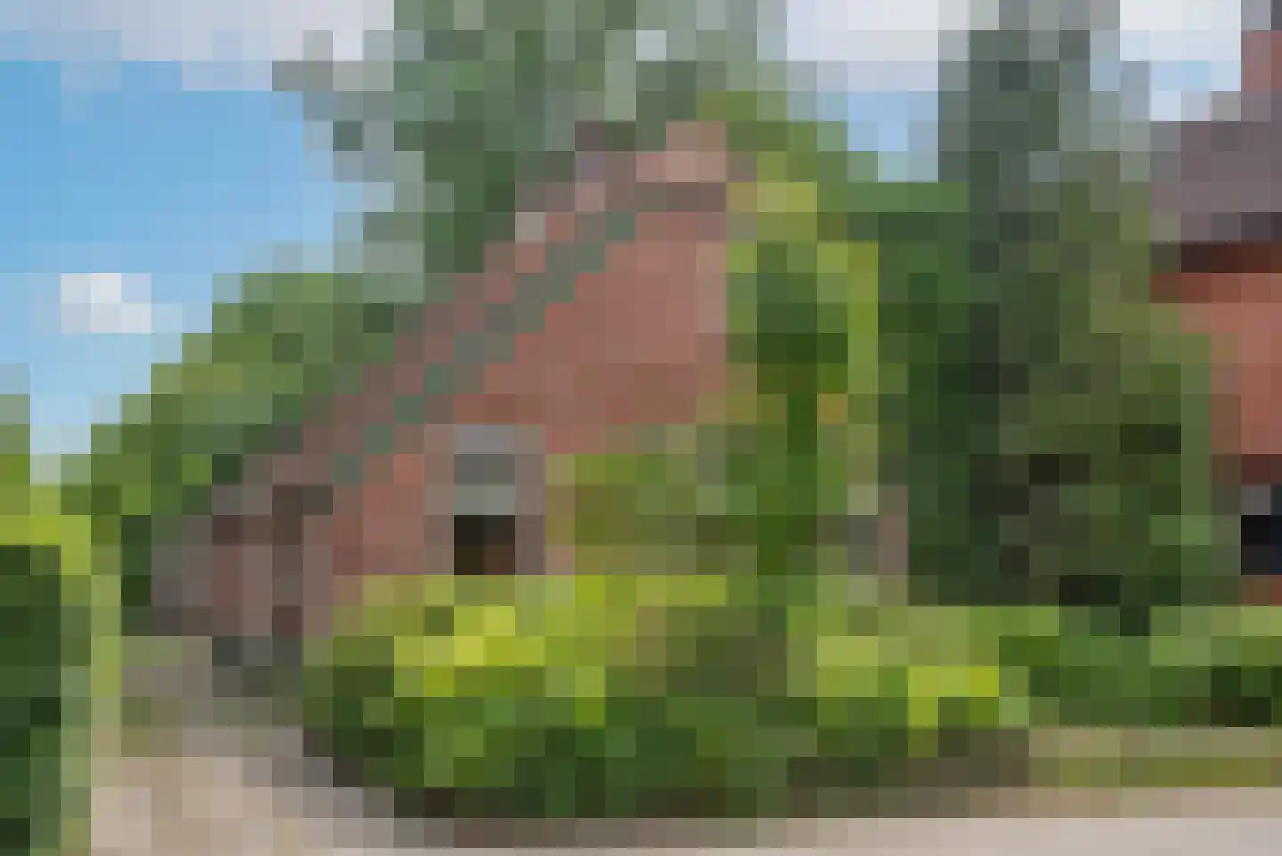 Dannenberg 13 Rijssen thumbnail 16