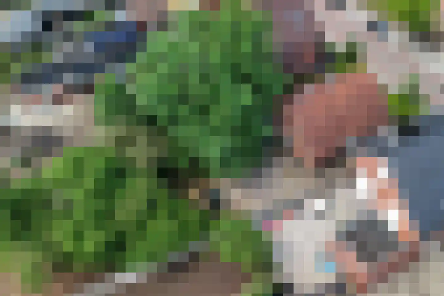 Dannenberg 13 Rijssen thumbnail 19
