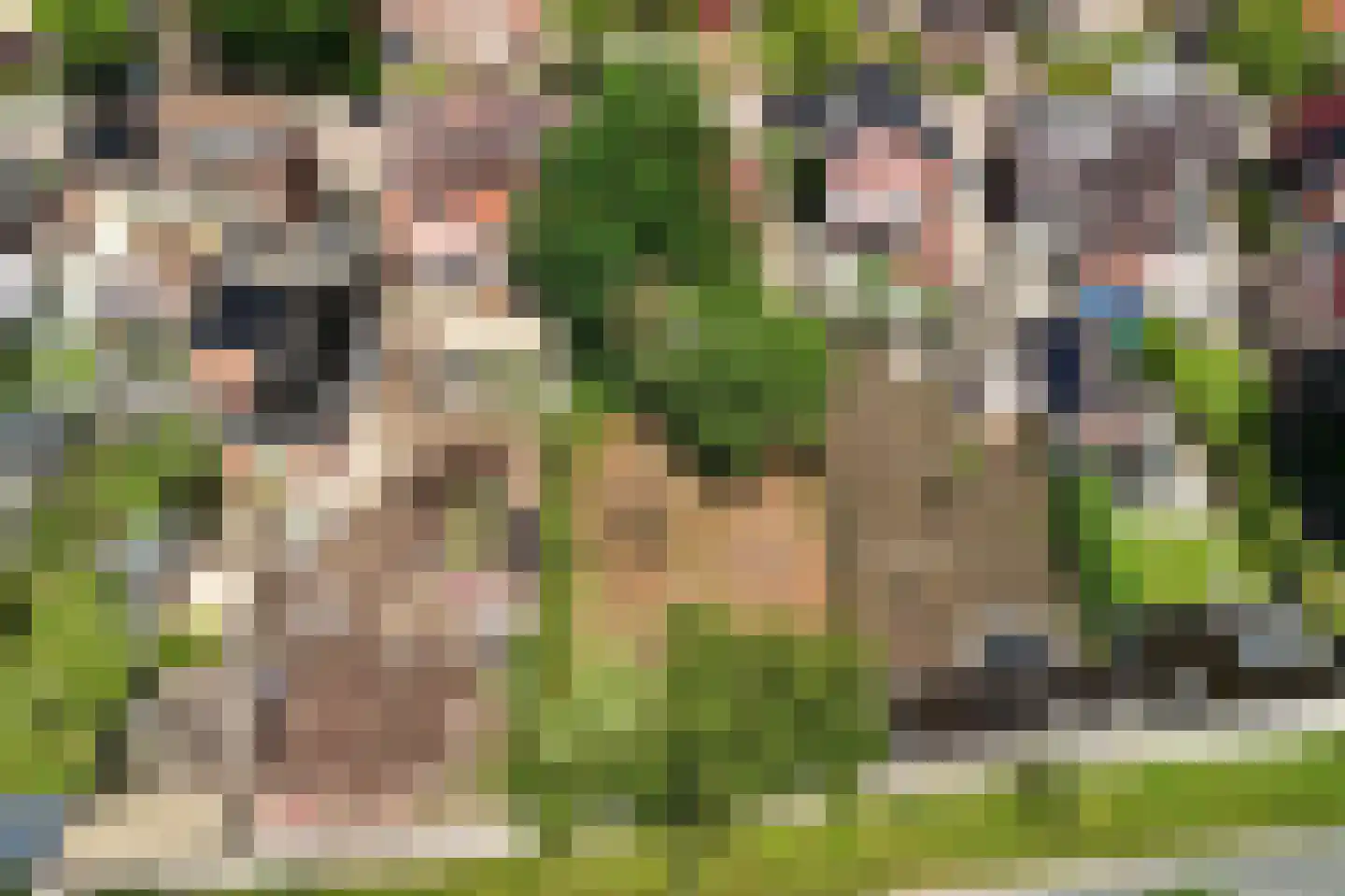 Dannenberg 13 Rijssen foto 3