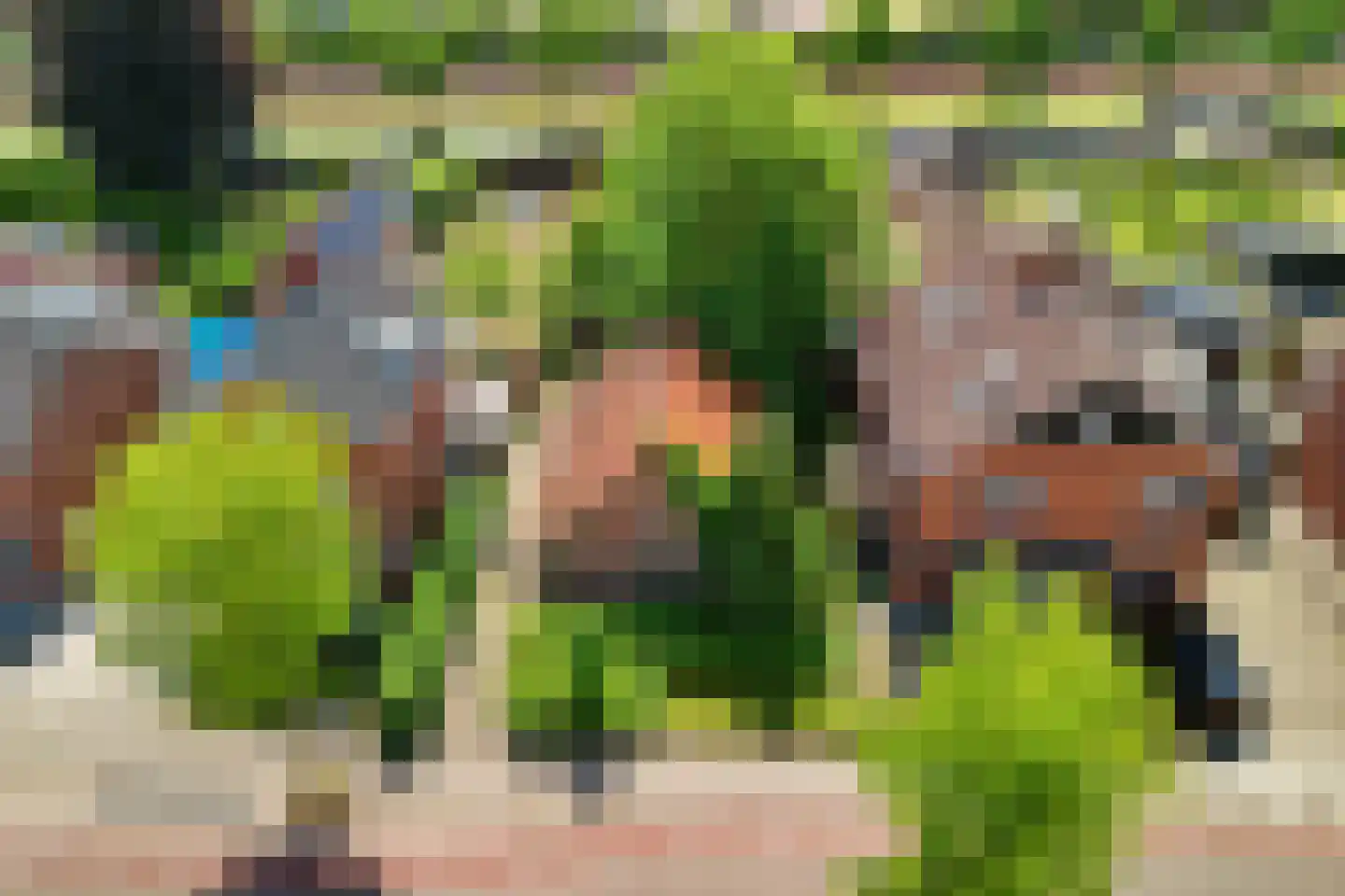 Dannenberg 13 Rijssen thumbnail 4
