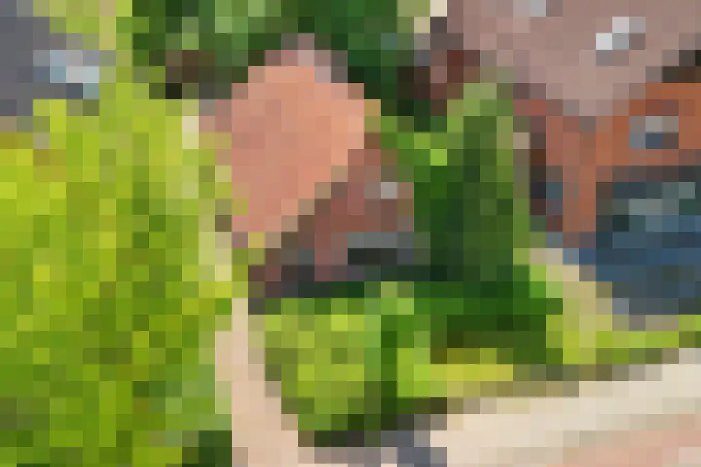 Dannenberg 13 Rijssen thumbnail 5