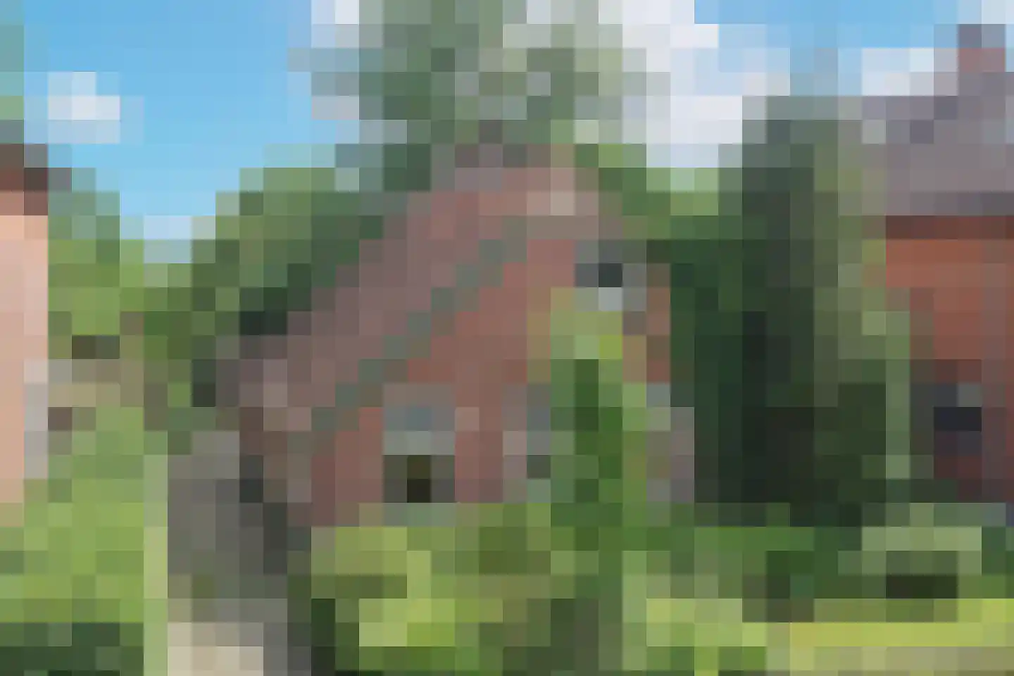 Dannenberg 13 Rijssen thumbnail 6