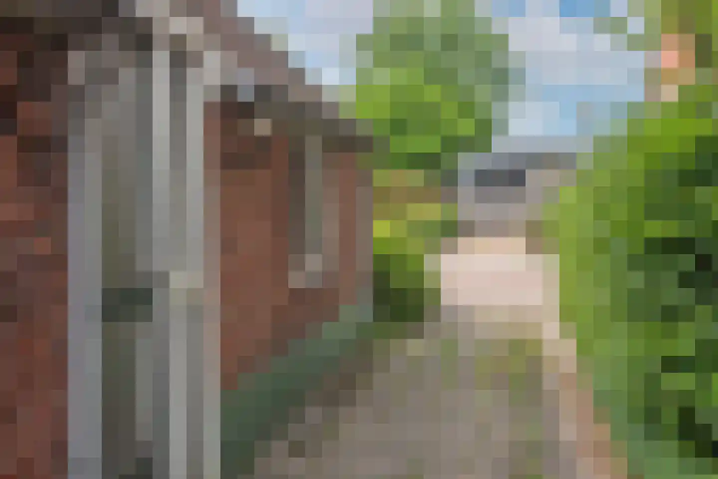 Dannenberg 13 Rijssen thumbnail 8