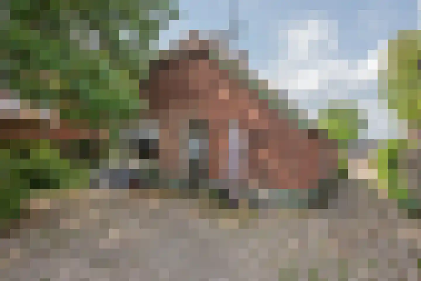 Dannenberg 13 Rijssen thumbnail 9