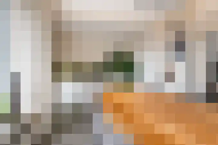 Dannenberg 17 Rijssen thumbnail 11