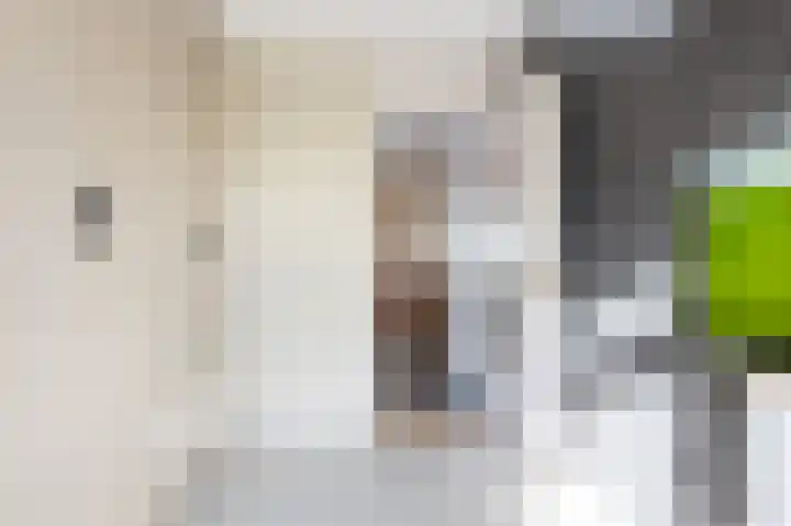 Dannenberg 17 Rijssen thumbnail 21