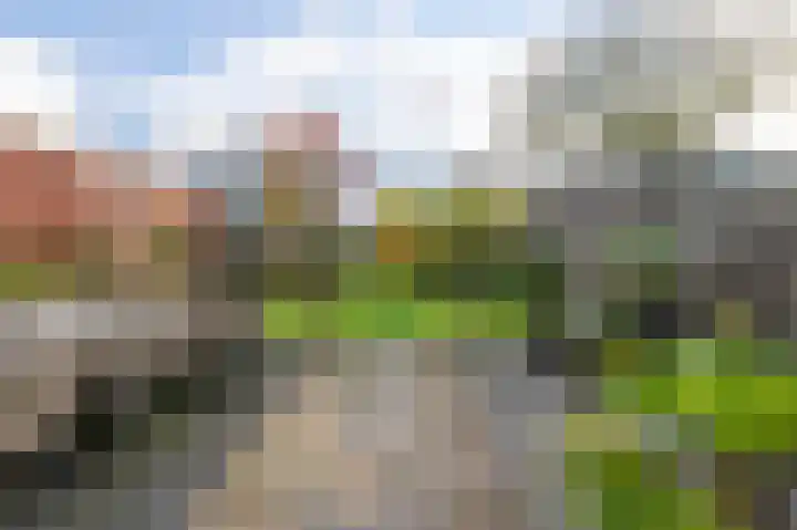 Dannenberg 17 Rijssen thumbnail 33