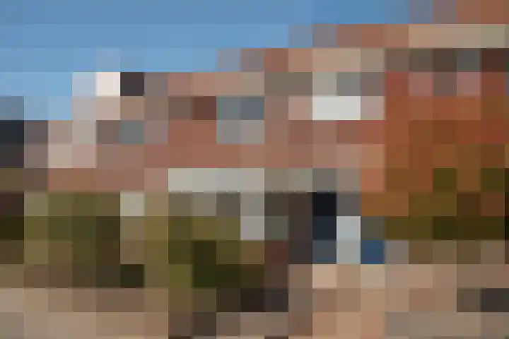 Dannenberg 26 B Rijssen