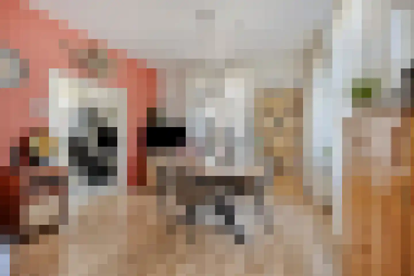 Dannenberg 46 Rijssen thumbnail 12