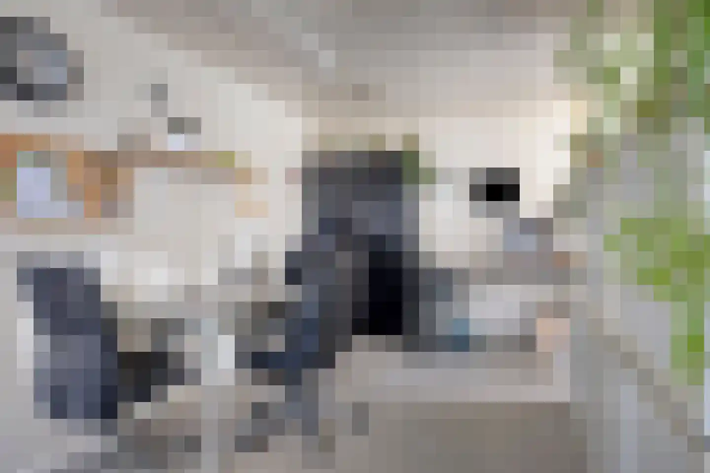 Dannenberg 46 Rijssen thumbnail 15