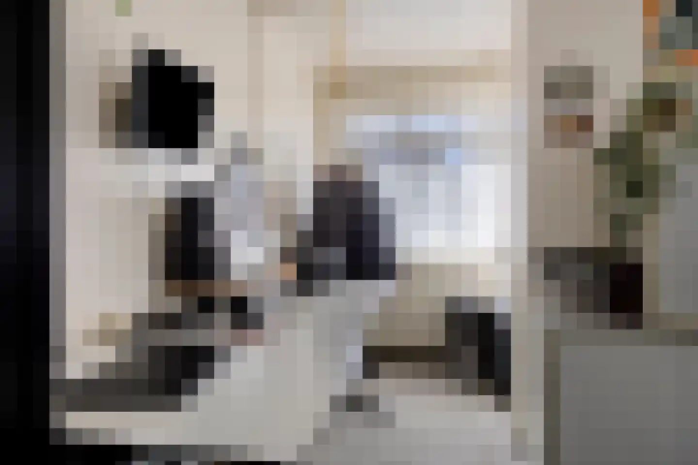 Dannenberg 46 Rijssen thumbnail 16