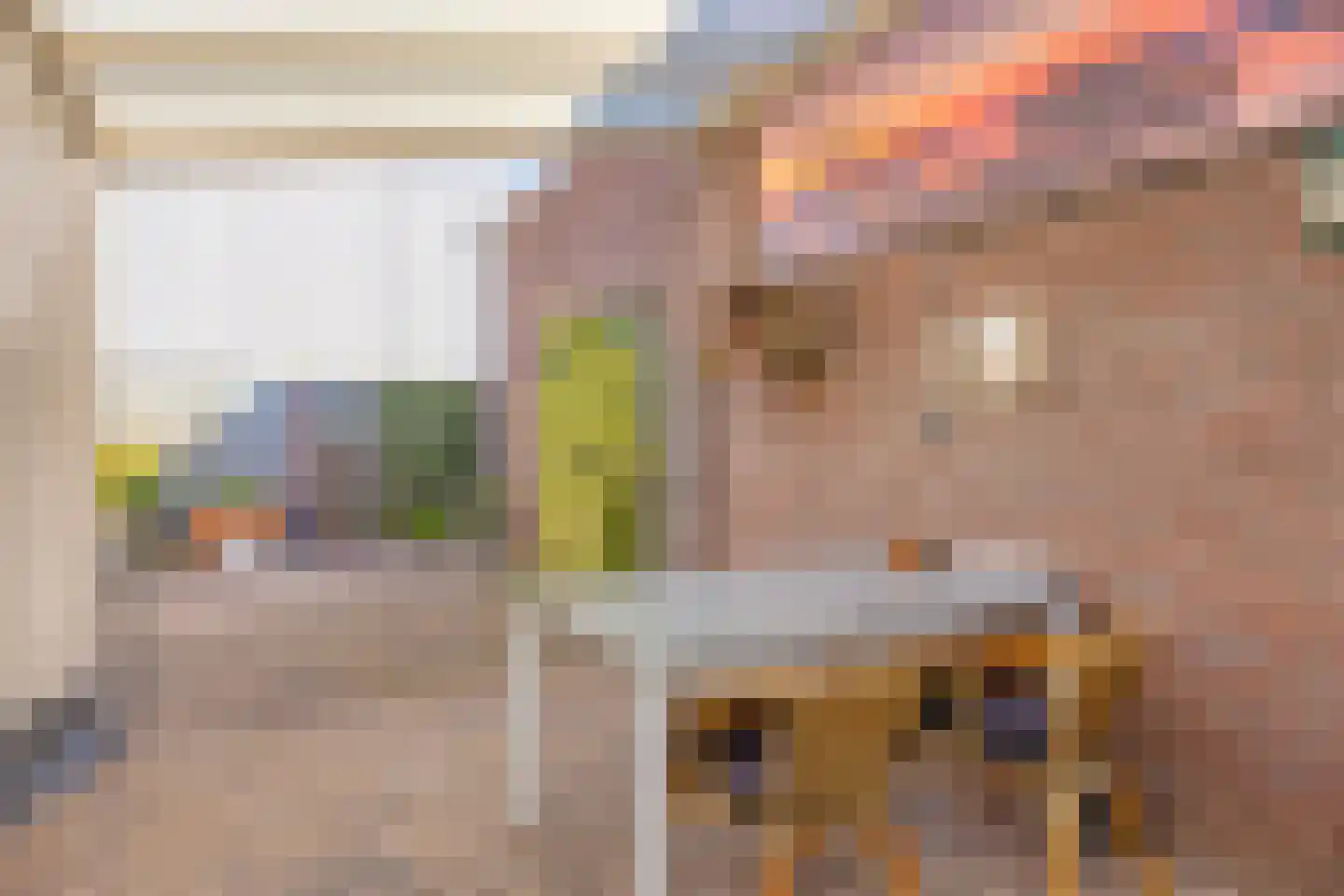 Dannenberg 46 Rijssen thumbnail 28