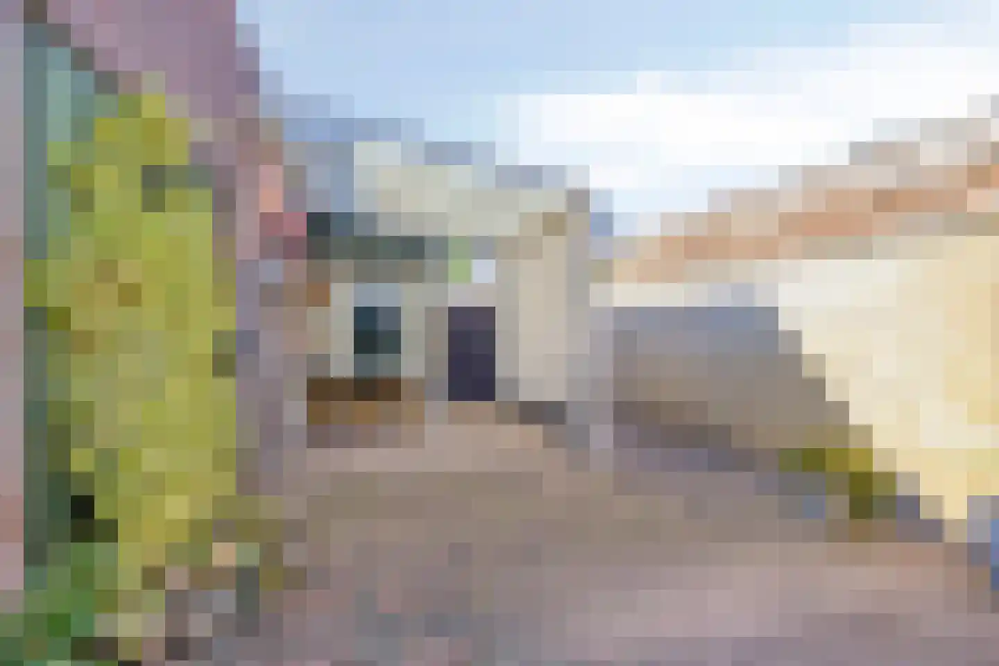 Dannenberg 46 Rijssen thumbnail 33