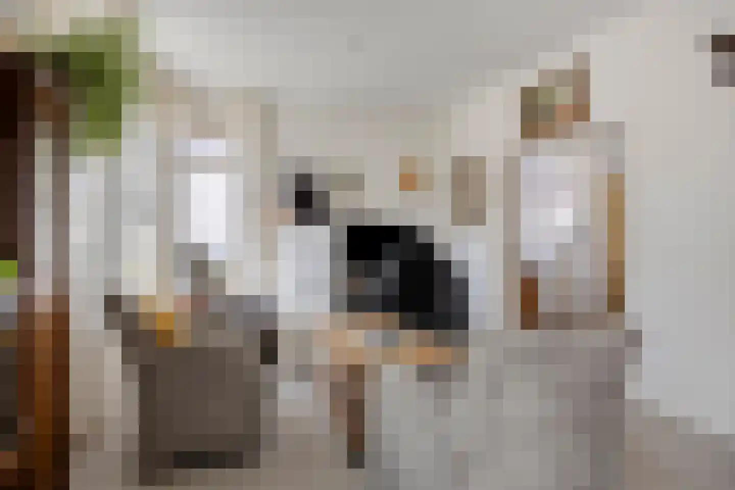 Dannenberg 46 Rijssen thumbnail 5