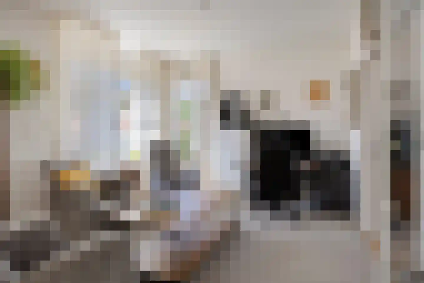 Dannenberg 46 Rijssen thumbnail 7