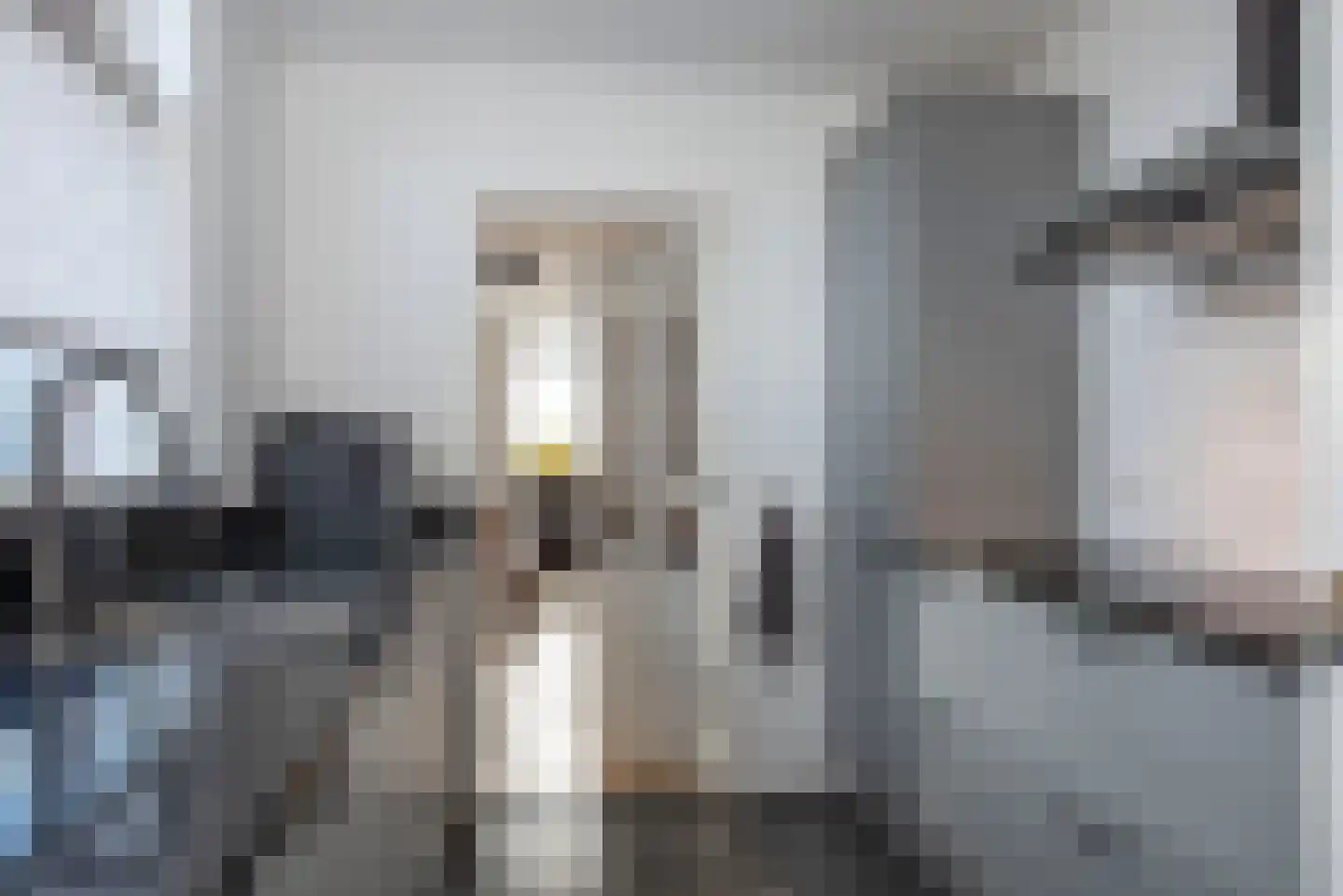 Dannenberg 70 Rijssen thumbnail 11