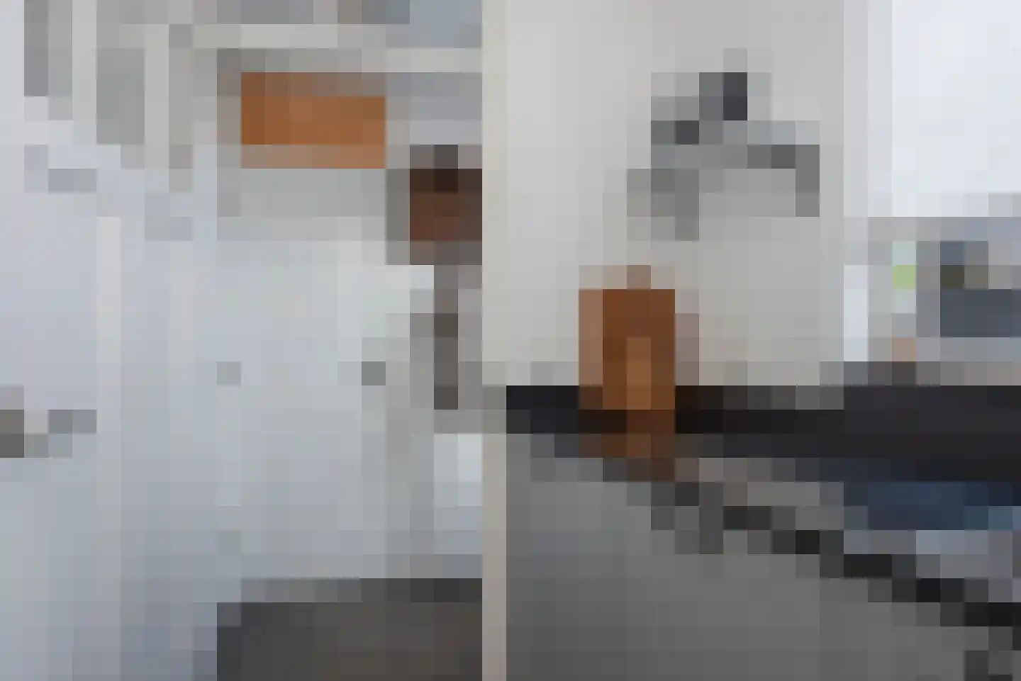 Dannenberg 70 Rijssen thumbnail 12
