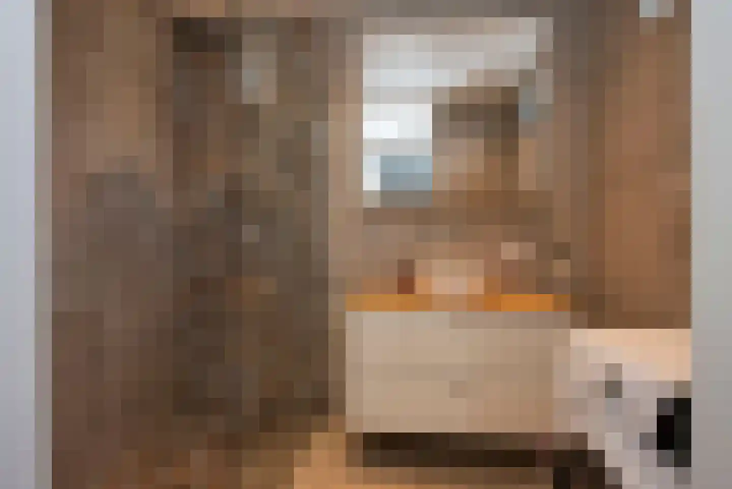 Dannenberg 70 Rijssen thumbnail 14