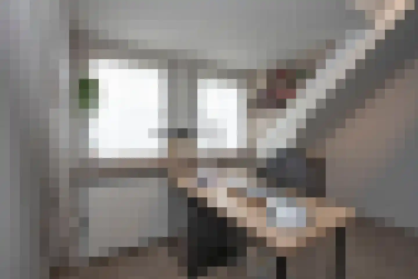 Dannenberg 70 Rijssen thumbnail 22