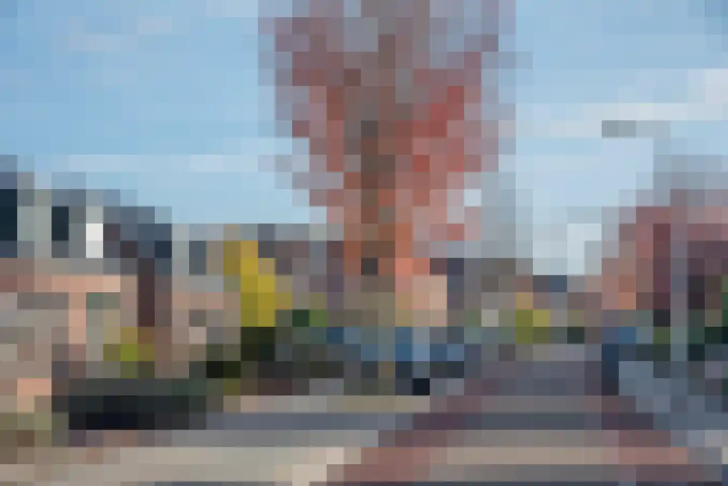 Dannenberg 70 Rijssen foto 3