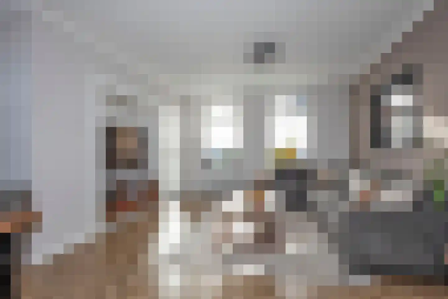 Dannenberg 70 Rijssen thumbnail 5