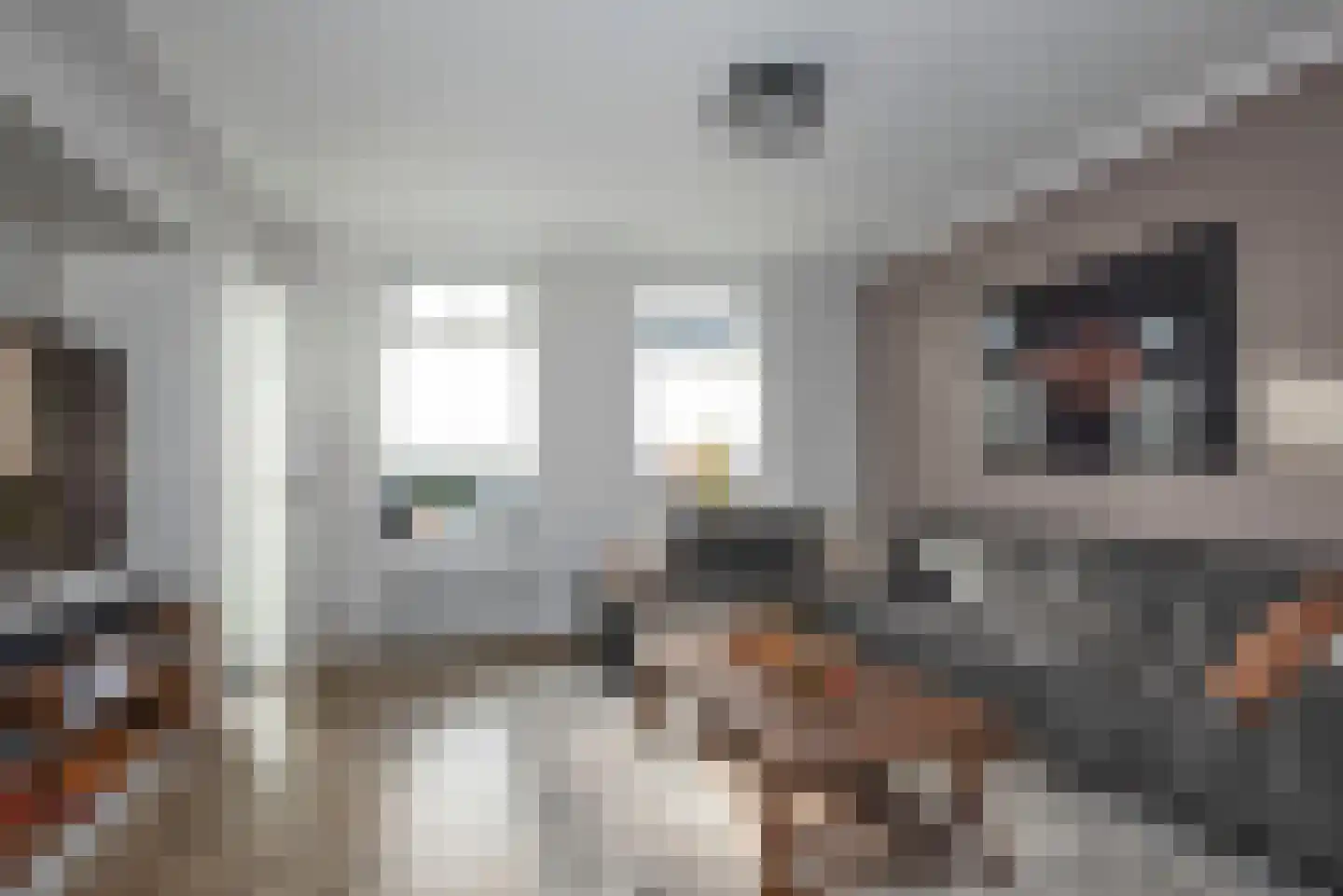 Dannenberg 70 Rijssen thumbnail 6
