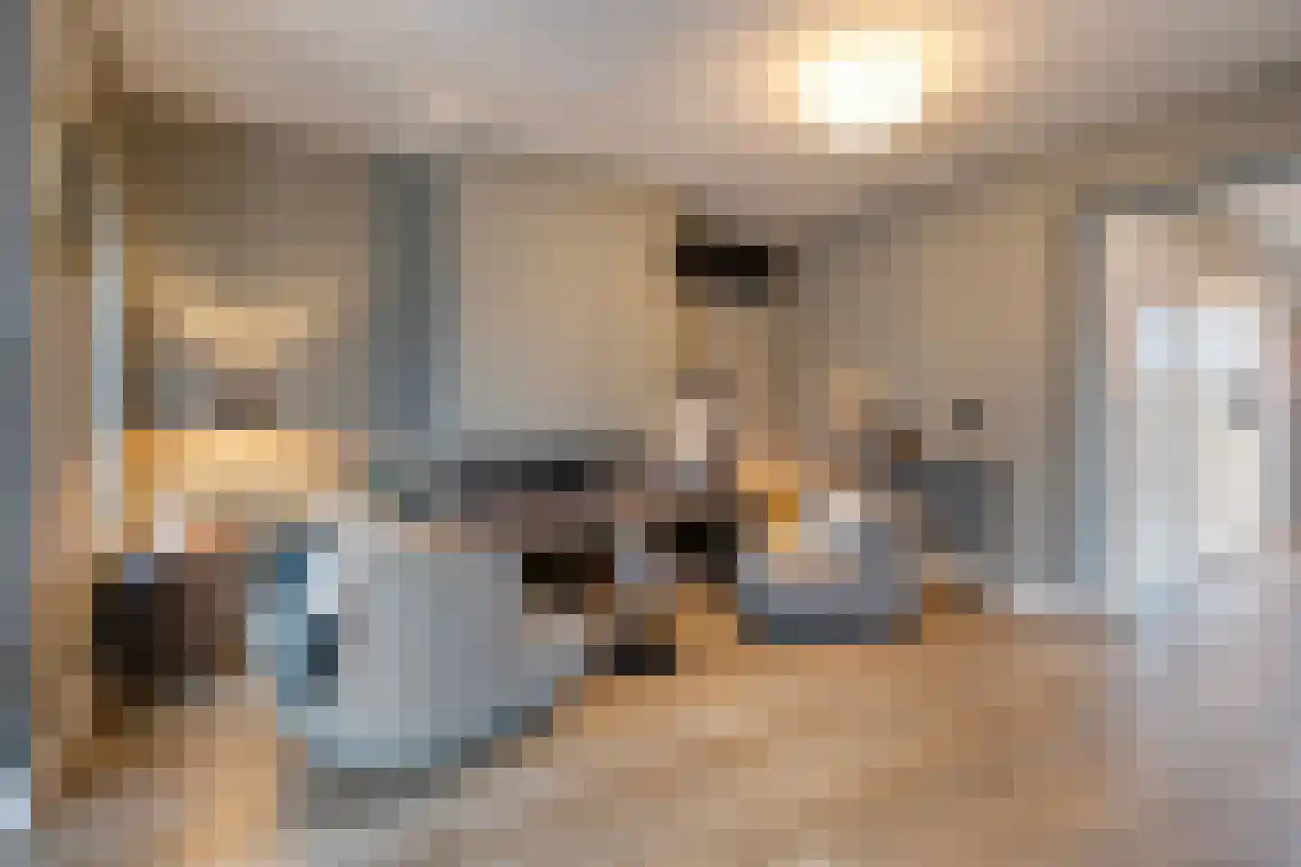 Dannenberg 8 A Rijssen thumbnail 11