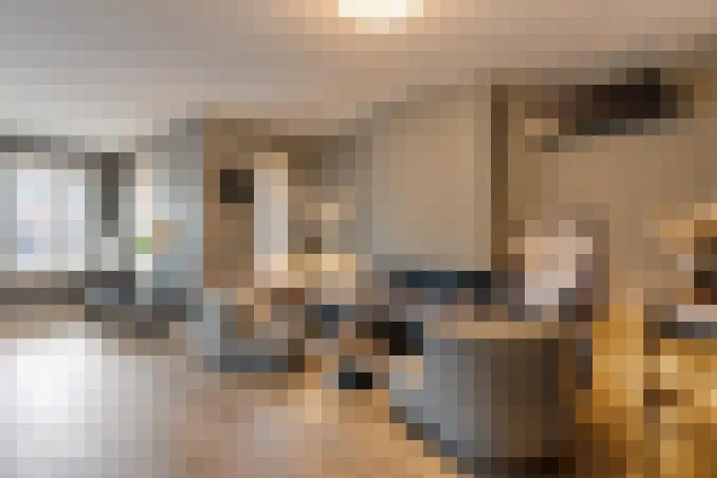Dannenberg 8 A Rijssen thumbnail 12
