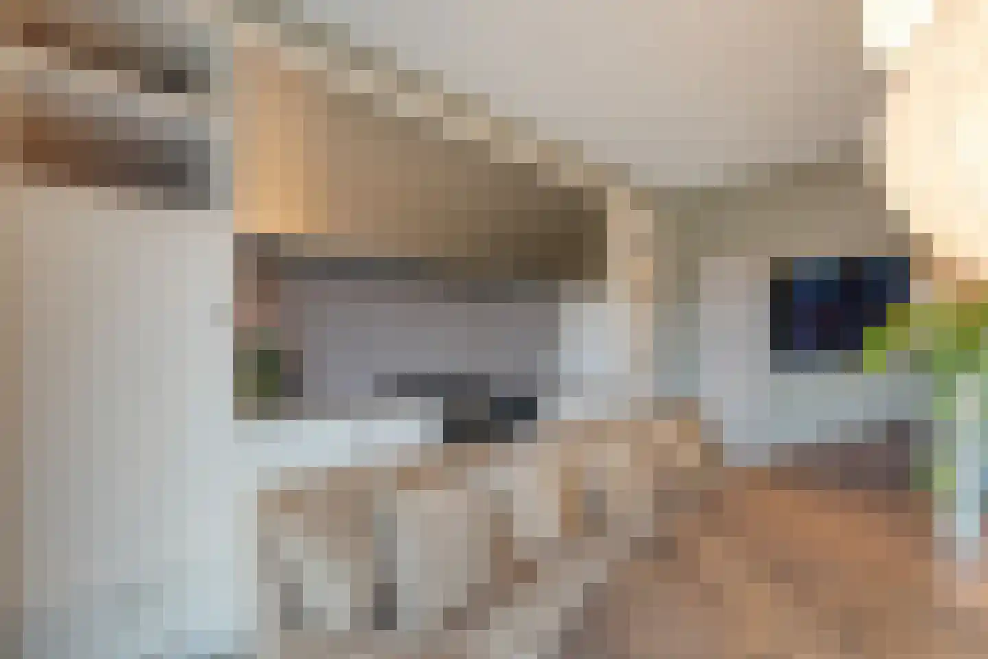 Dannenberg 8 A Rijssen thumbnail 17