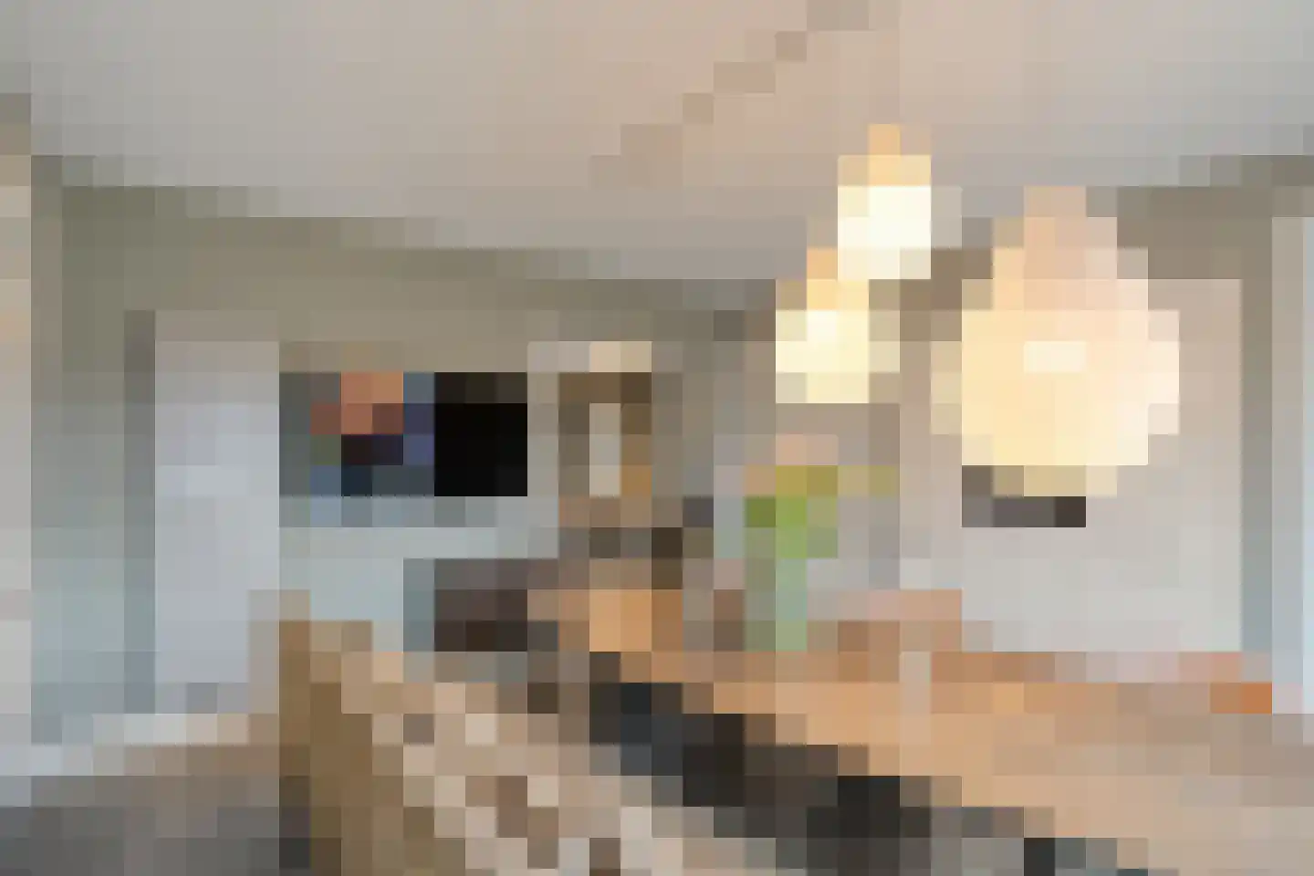 Dannenberg 8 A Rijssen thumbnail 18