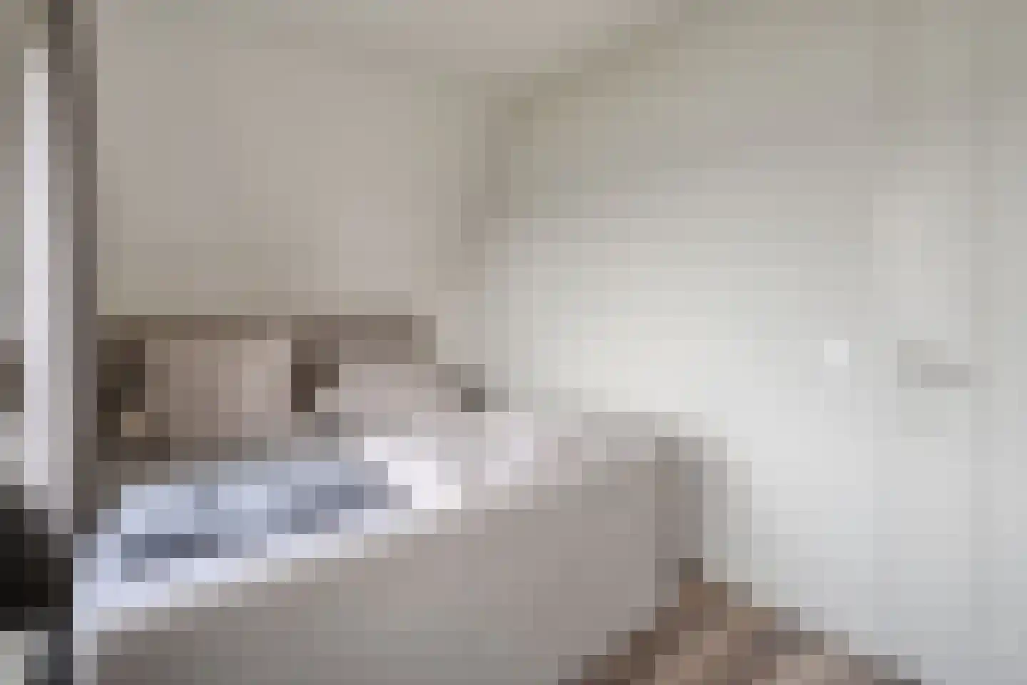 Dannenberg 8 A Rijssen thumbnail 25