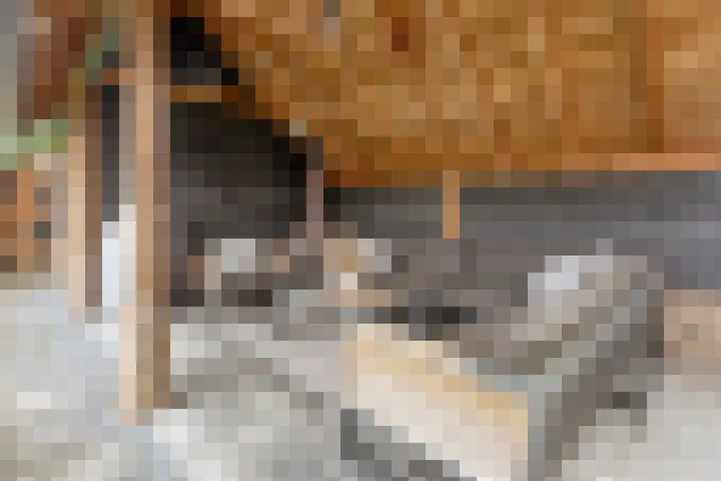 Dannenberg 8 A Rijssen thumbnail 27