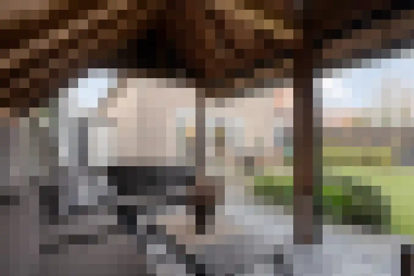 Dannenberg 8 A Rijssen thumbnail 28