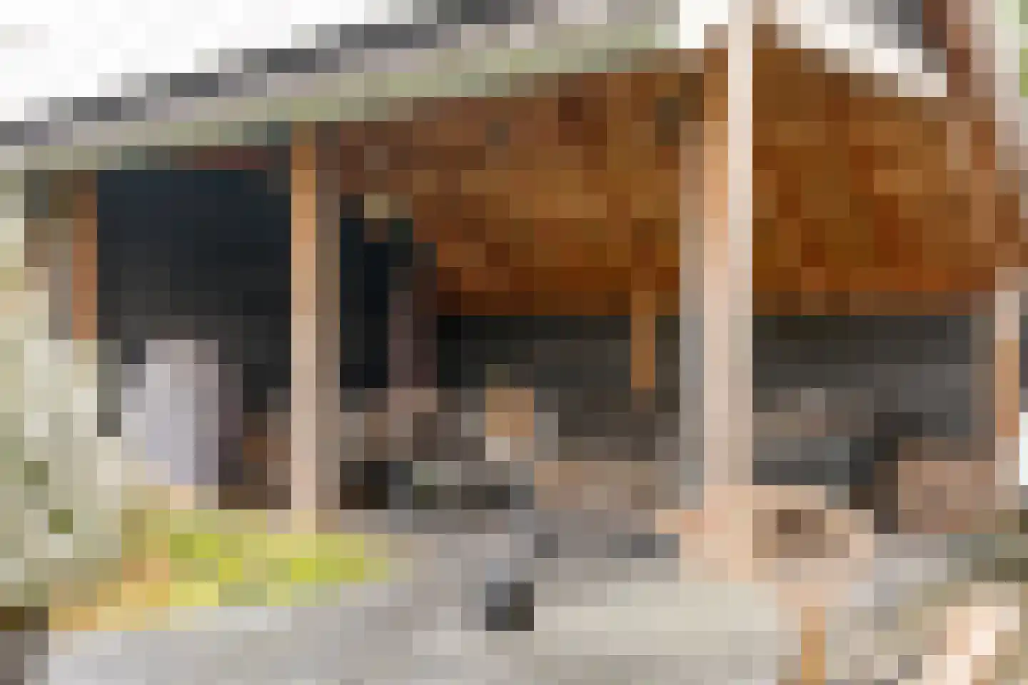 Dannenberg 8 A Rijssen thumbnail 29