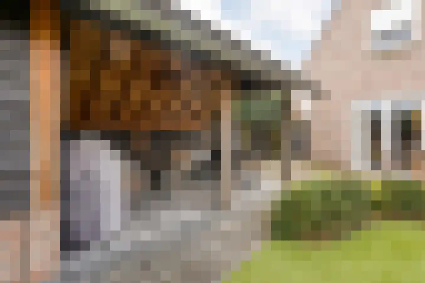 Dannenberg 8 A Rijssen thumbnail 30