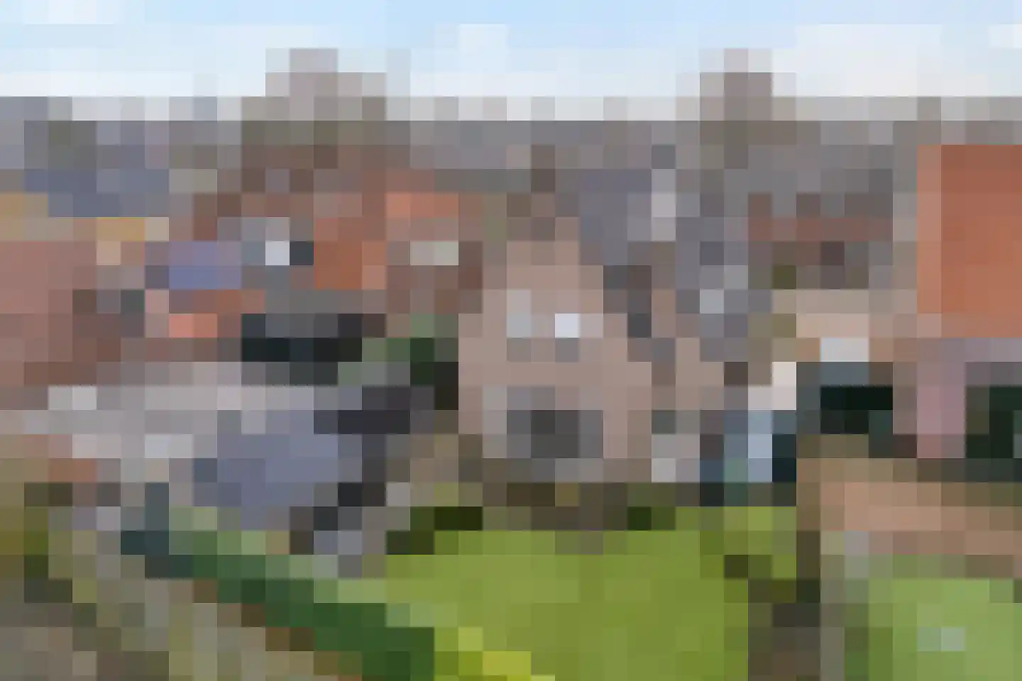 Dannenberg 8 A Rijssen thumbnail 38