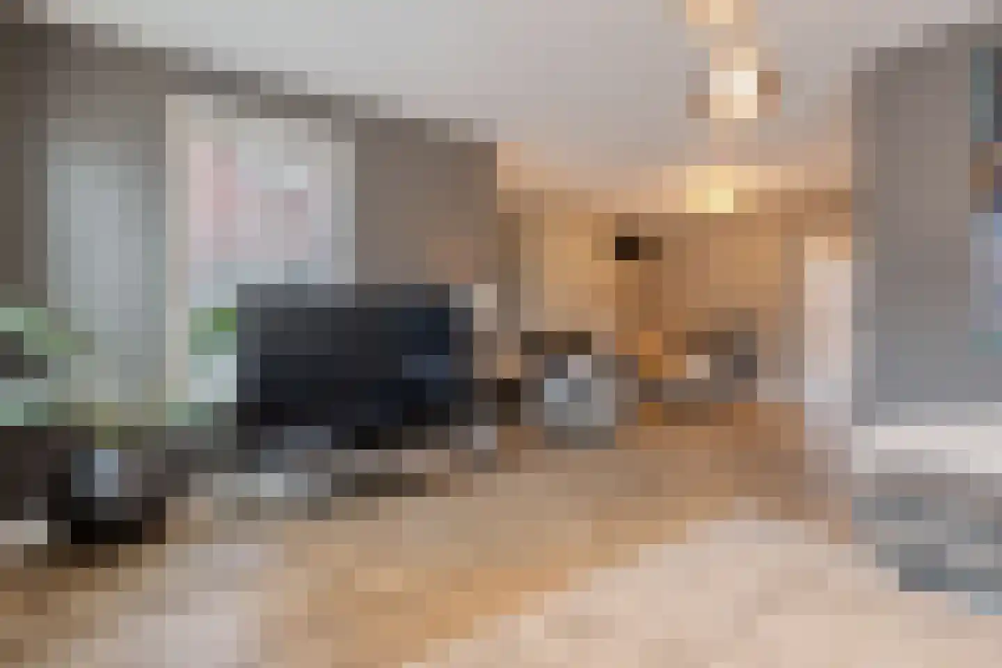 Dannenberg 8 A Rijssen thumbnail 4