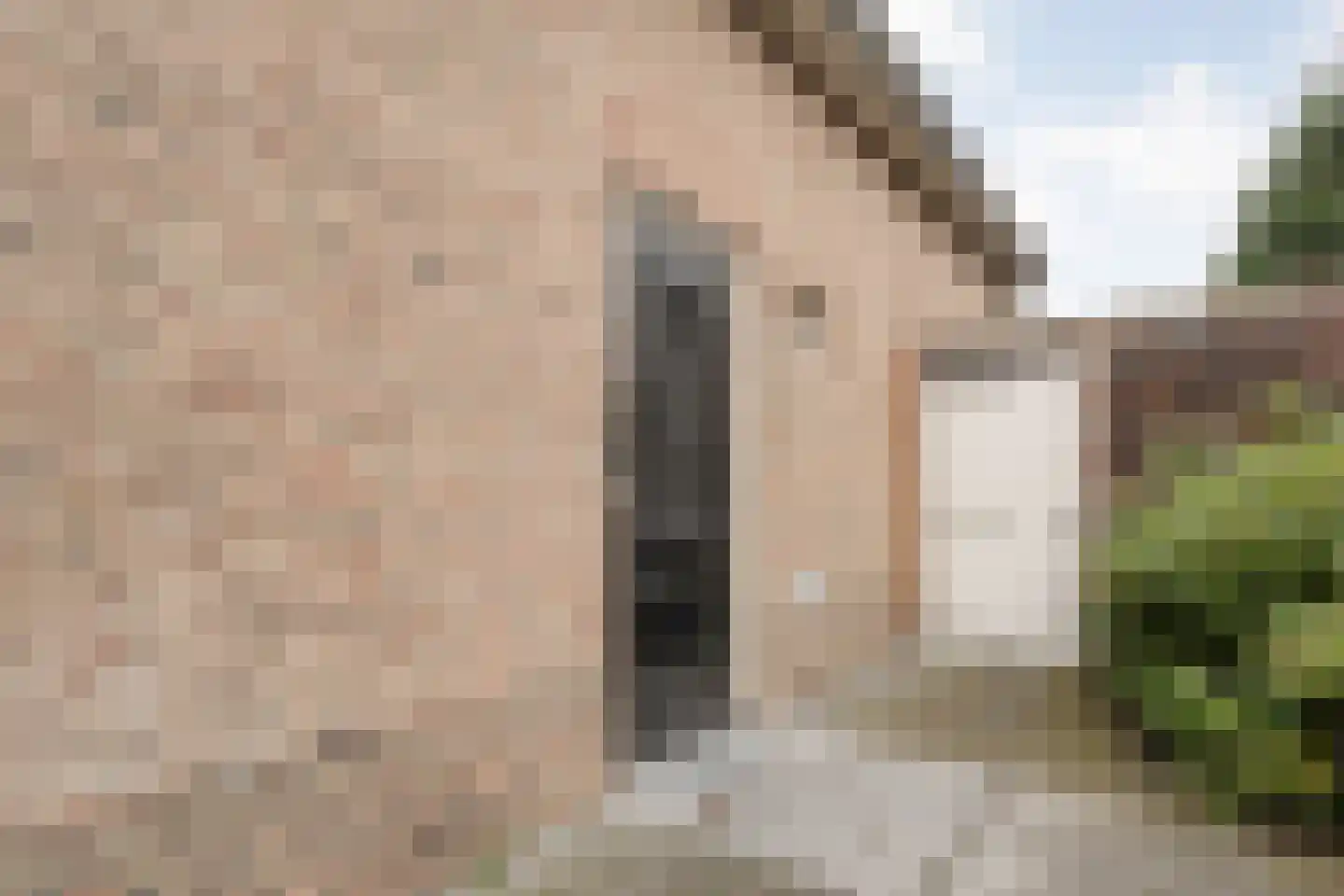 Dannenberg 8 A Rijssen thumbnail 6