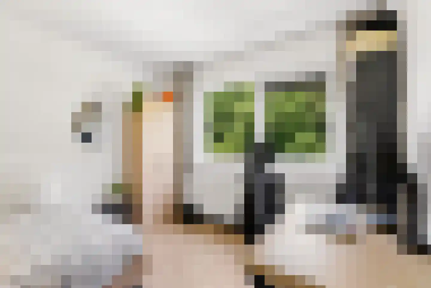 Danslaan 12 Almere thumbnail 34