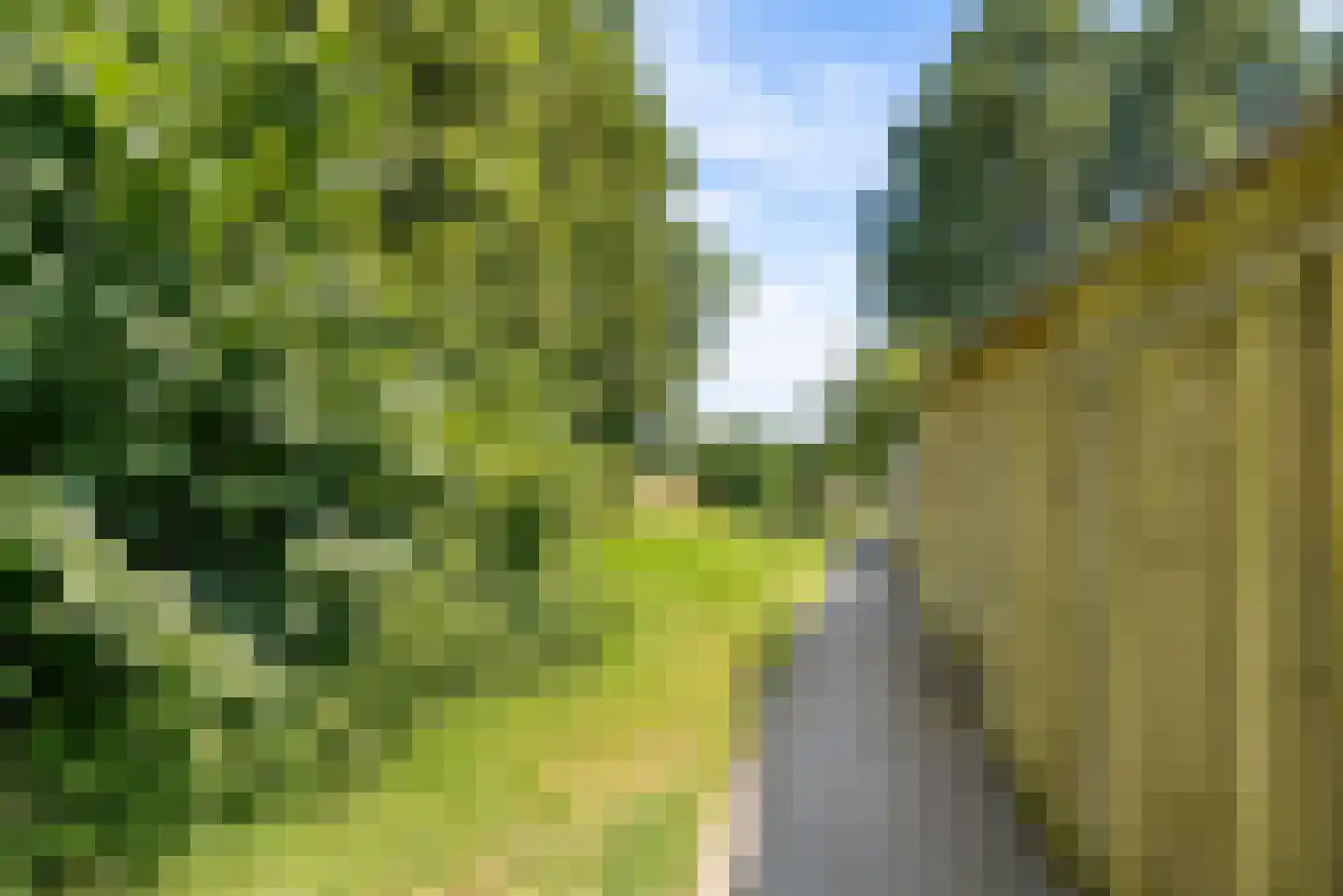 Danslaan 12 Almere thumbnail 61