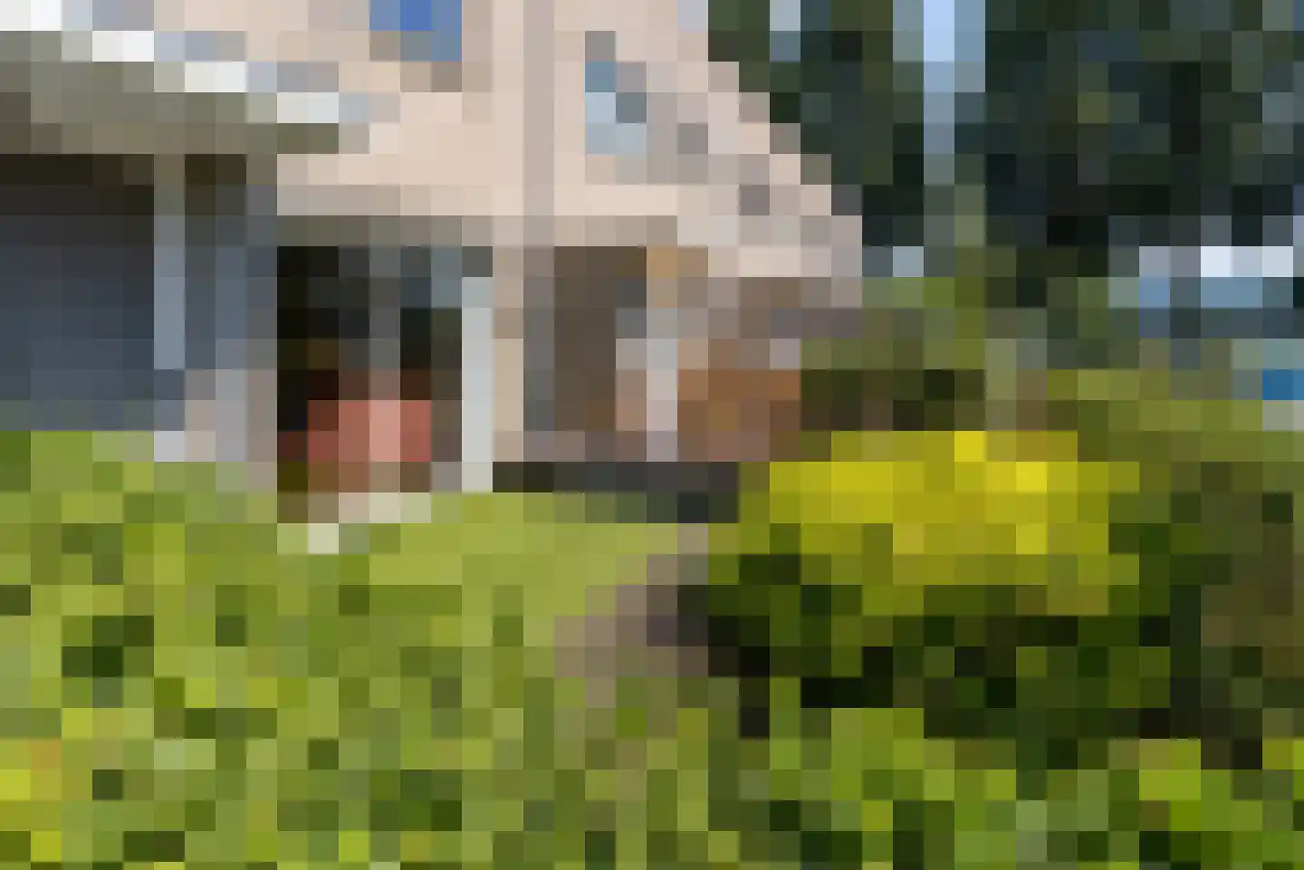 Danslaan 12 Almere thumbnail 63