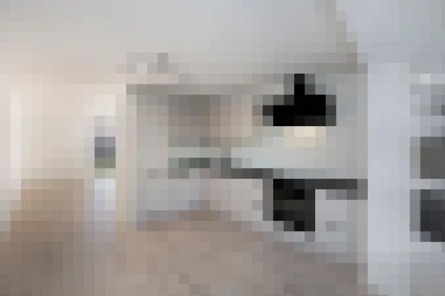 Danslaan 17 Almere thumbnail 11