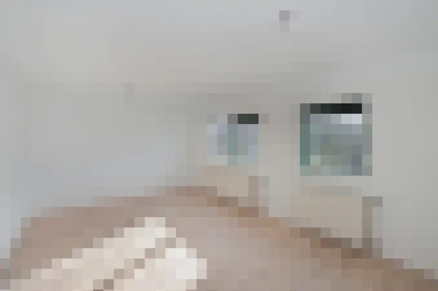 Danslaan 17 Almere thumbnail 21