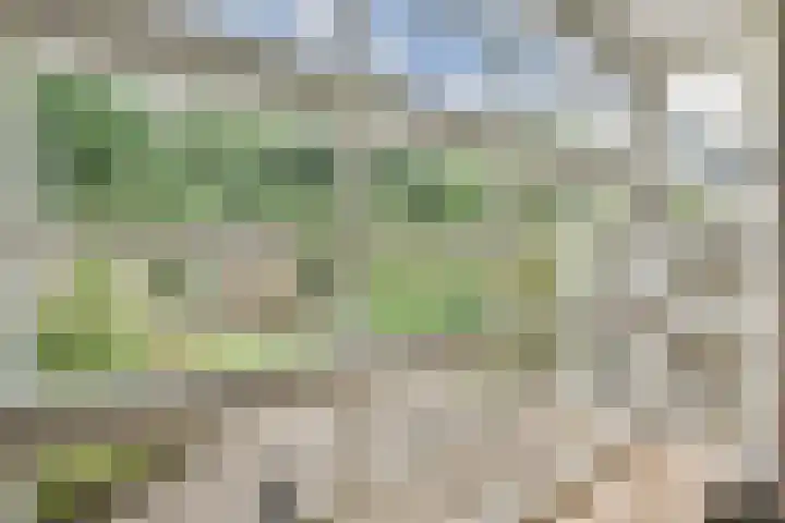 Danslaan 22 Almere thumbnail 12