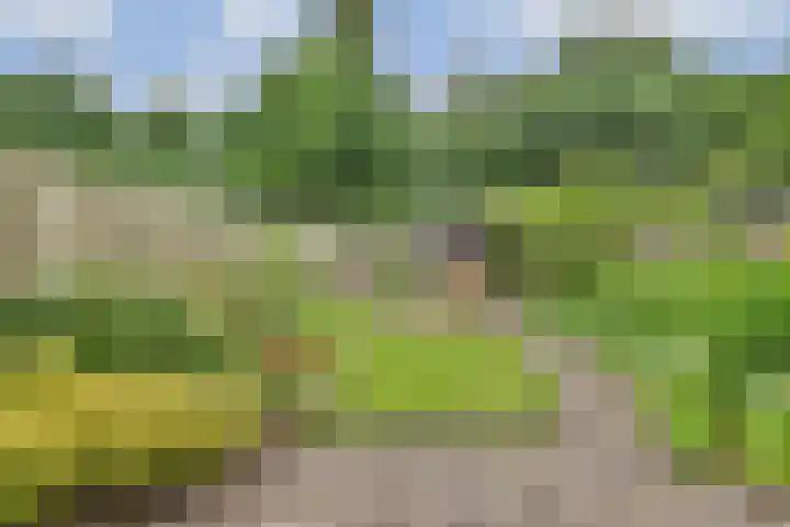 Danslaan 22 Almere thumbnail 13