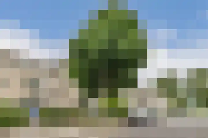 Danslaan 22 Almere thumbnail 34
