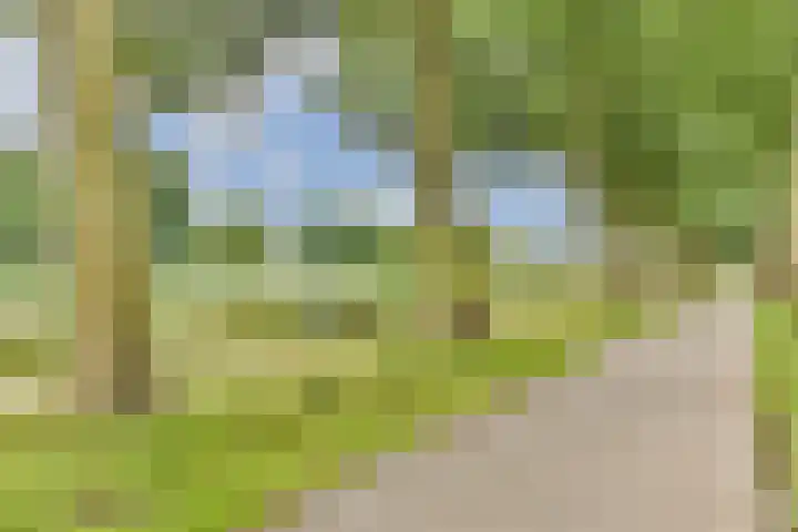 Danslaan 22 Almere thumbnail 35