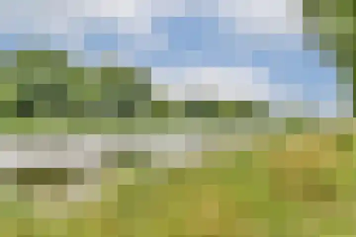 Danslaan 22 Almere thumbnail 36