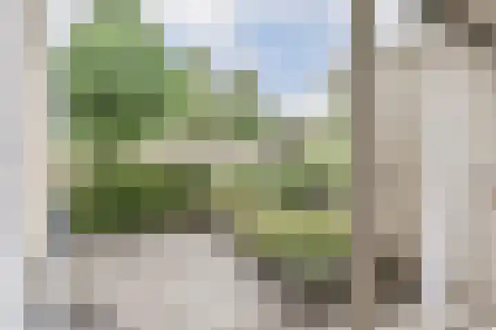 Danslaan 22 Almere thumbnail 4